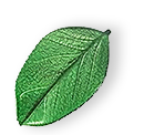 floating_leaf_01 https://skyshine.pl/wp-content/uploads/2025/07/floating_leaf_01.png